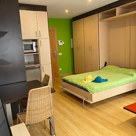 Apartman Estudio Centrico D1 *